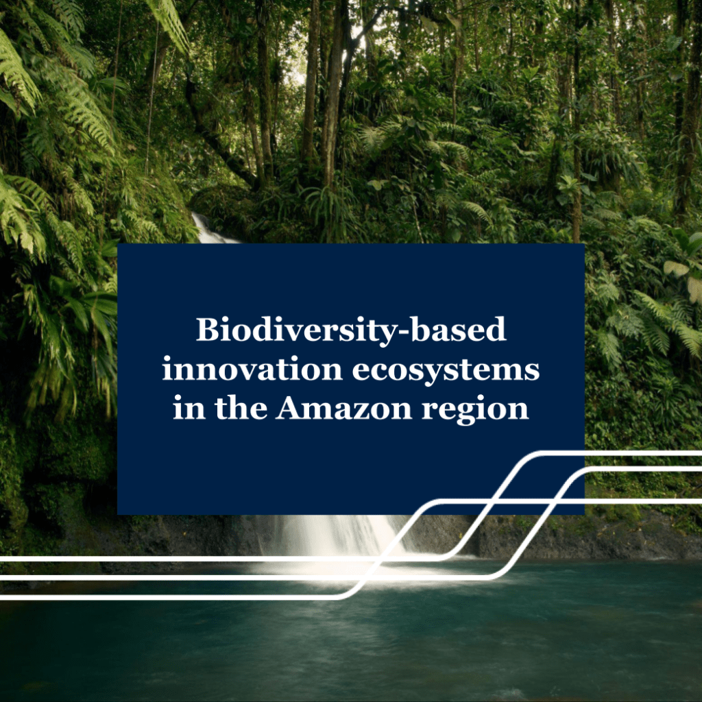 Biodiversity-based innovation ecosystems in the Amazon&nbsp;region