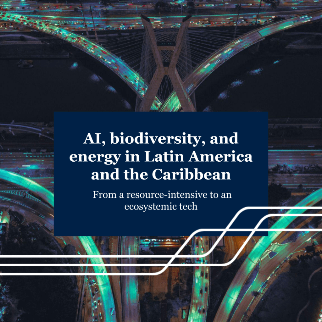 AI, biodiversity, and energy in Latin America and the Caribbean: from a resource-intensive to an ecosystemic&nbsp;tech