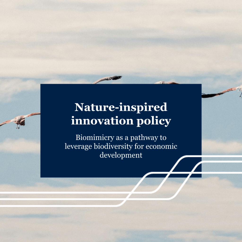 Nature-inspired innovation policy: Biomimicry as a pathway to leverage biodiversity for economic&nbsp;development