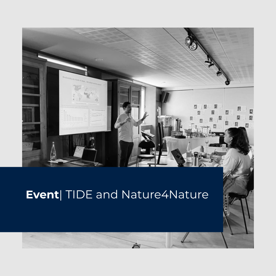 TIDE AT NATURE4NATURE: